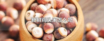 ​鸡头米怎么吃好 鲜的鸡头米怎么吃