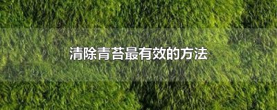 ​清除青苔最有效的方法