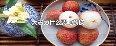 ​大暑为什么要吃荔枝