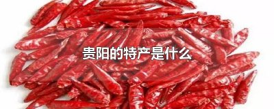 ​贵阳的特产是什么