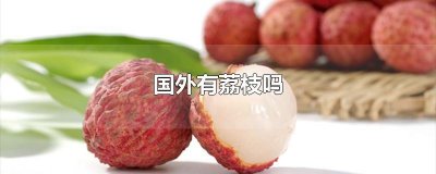 ​国外有荔枝吗
