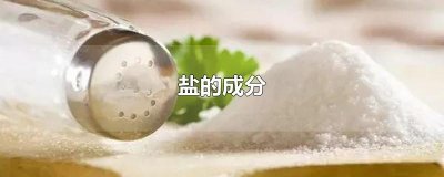 ​盐的成分