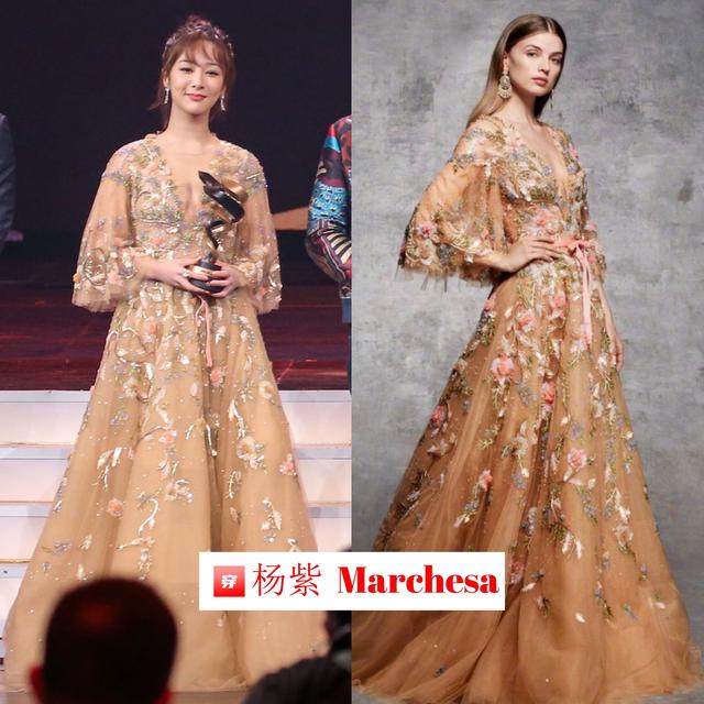 杨紫粉色百褶裙穿搭（精选杨紫出道以来的穿搭）(22)