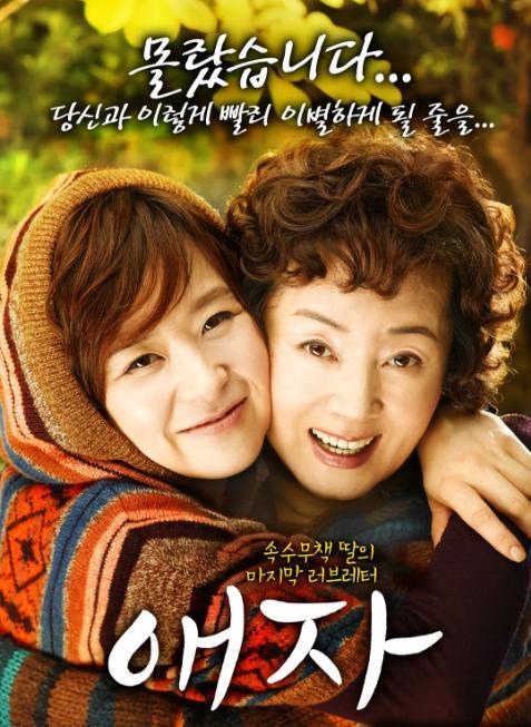 韩国高分催泪电影母爱(推荐四部关于母爱的韩国电影)(5)