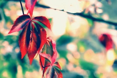 ​大男子主义是什么样的表现（他们有这3个明显特征）