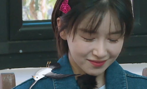 纪凌尘出轨王艺被纪凌尘否认(纪凌尘分手后现状)