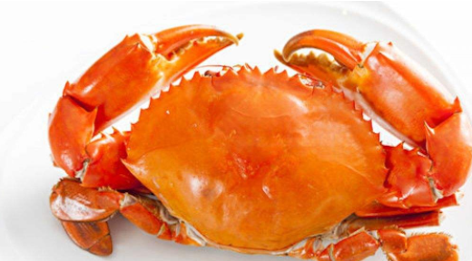 螃蟹为什么横着走,螃蟹为什么横着爬行答案图3