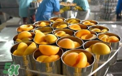 ​黄桃为什么水果店没得？黄桃哪里产的最好吃