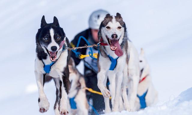 爱斯基摩人的悲哀(以妻待客的爱斯基摩人)(6)