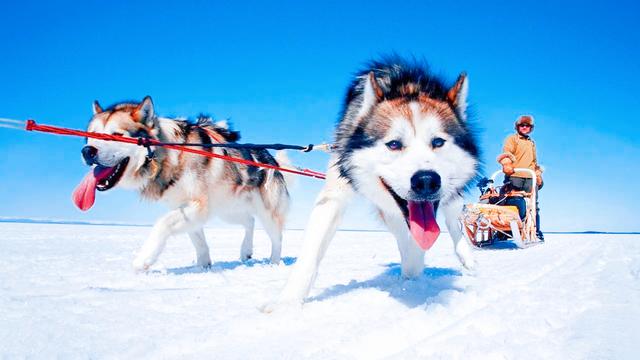 爱斯基摩人的悲哀(以妻待客的爱斯基摩人)(11)