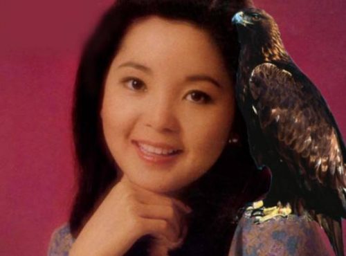 唱片销量排行榜前5(中国唱片销量最多的5位歌手)插图4