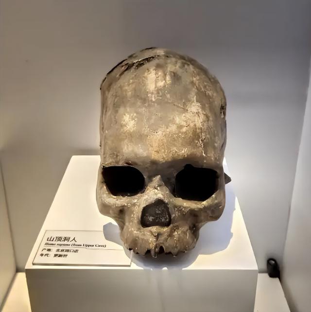 山海经有什么奇花异草（胆小勿入这些人头骨）(9)