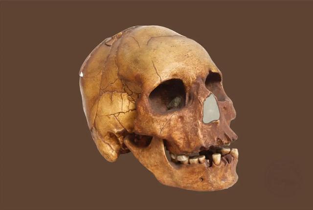 山海经有什么奇花异草（胆小勿入这些人头骨）(5)