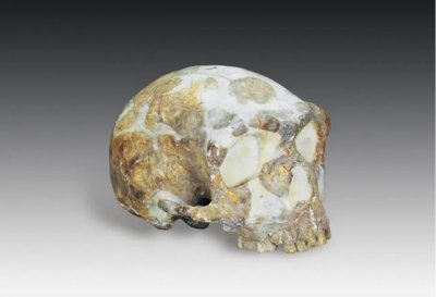 ​山海经有什么奇花异草（胆小勿入这些人头骨）