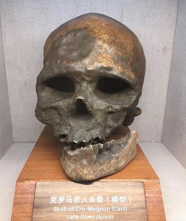 山海经有什么奇花异草（胆小勿入这些人头骨）(3)