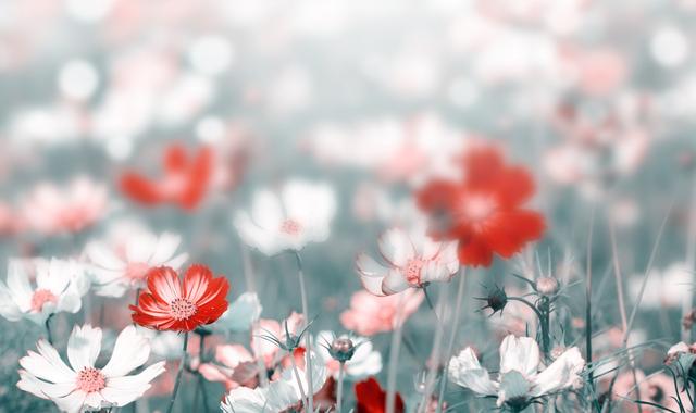 当女人想你的时候有哪几种表现(才会这样暗示你)(6)