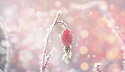 ​当女人想你的时候有哪几种表现（才会这样暗示你）