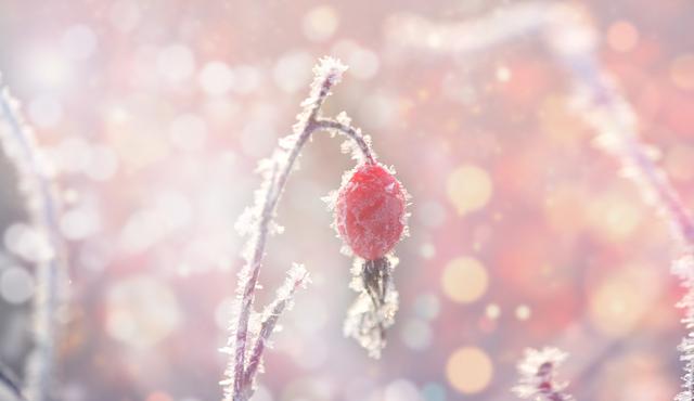 当女人想你的时候有哪几种表现(才会这样暗示你)(1)