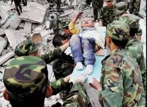 猪坚强的标本在哪里(靠雨水和木炭活下来)(4)