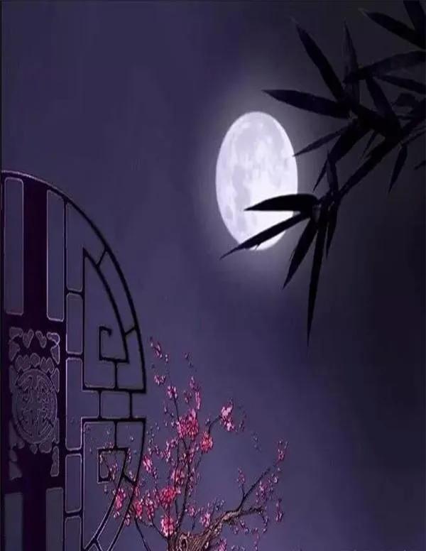 宋词赏析苏轼大江东去（水调歌头.明月几时有苏轼）(3)