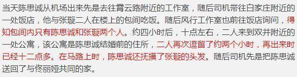 陈思诚绯闻事件真相 陈思诚连续4次出轨绯闻(14)