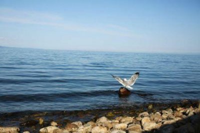 ​南翔夜晚有什么好玩的地方 南翔游玩的地方