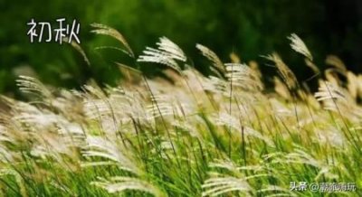 ​123微旅游123微旅网