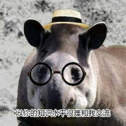 10个狗头表情包（一组貘mó的表情包）(6)