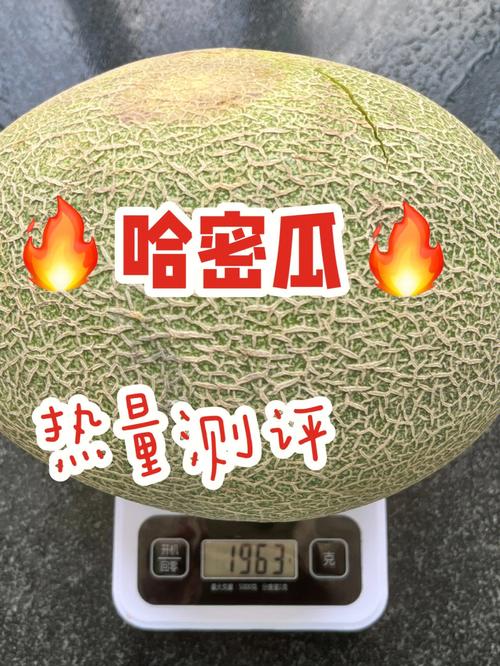 哈密瓜的热量（每100克含34大卡）