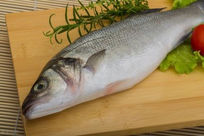 ​鲈鱼是海鱼还是淡水鱼（鲈鱼简单介绍）
