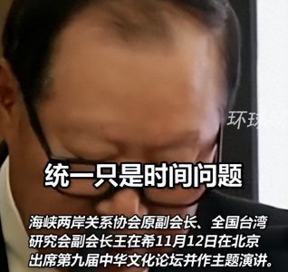​王在希：中华文化凝聚力促台统一，台独已无可能