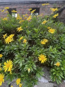 ​我们不仅要善待别人，更要学会善待自己