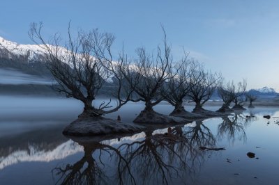 ​《魔戒》三部曲