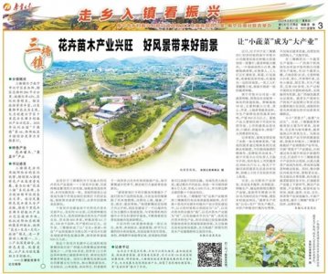 ​南宁日报刊发丨兴宁区三塘镇：花卉苗木产业兴旺 好风景带来好前景