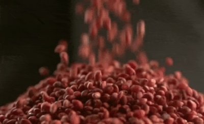 ​赖茅20年窖藏53度价格表(赖茅2斤酒价格表53度价格)