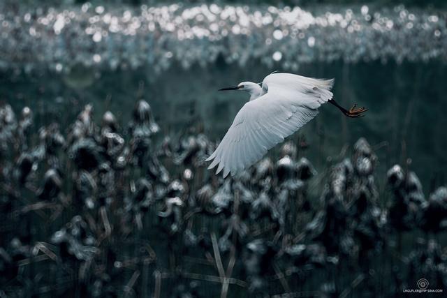 七下语文第九课阿长与山海经笔记(七年级语文下册第9课)(2)