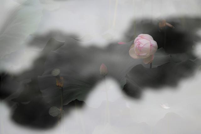 七下语文第九课阿长与山海经笔记(七年级语文下册第9课)(3)