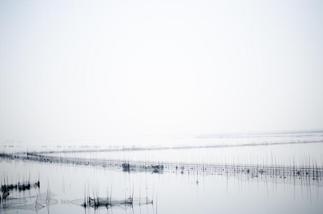 七下语文第九课阿长与山海经笔记(七年级语文下册第9课)(5)