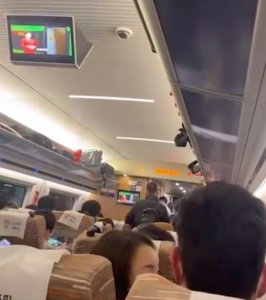 ​高铁因超员无法行驶，无票乘客被请下车，铁路回应：超员符合规定，有些旅客上