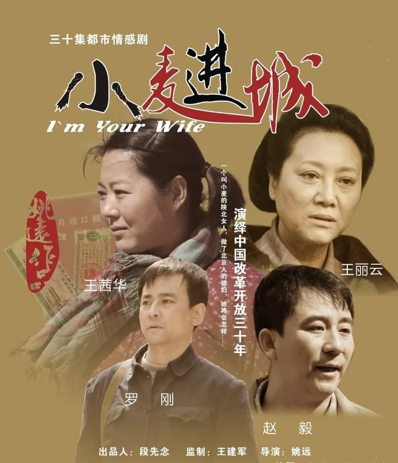 100部知青电视剧大全(盘点知青题材电视剧)