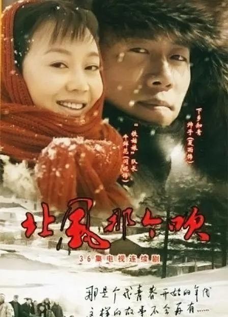 100部知青电视剧大全(盘点知青题材电视剧)