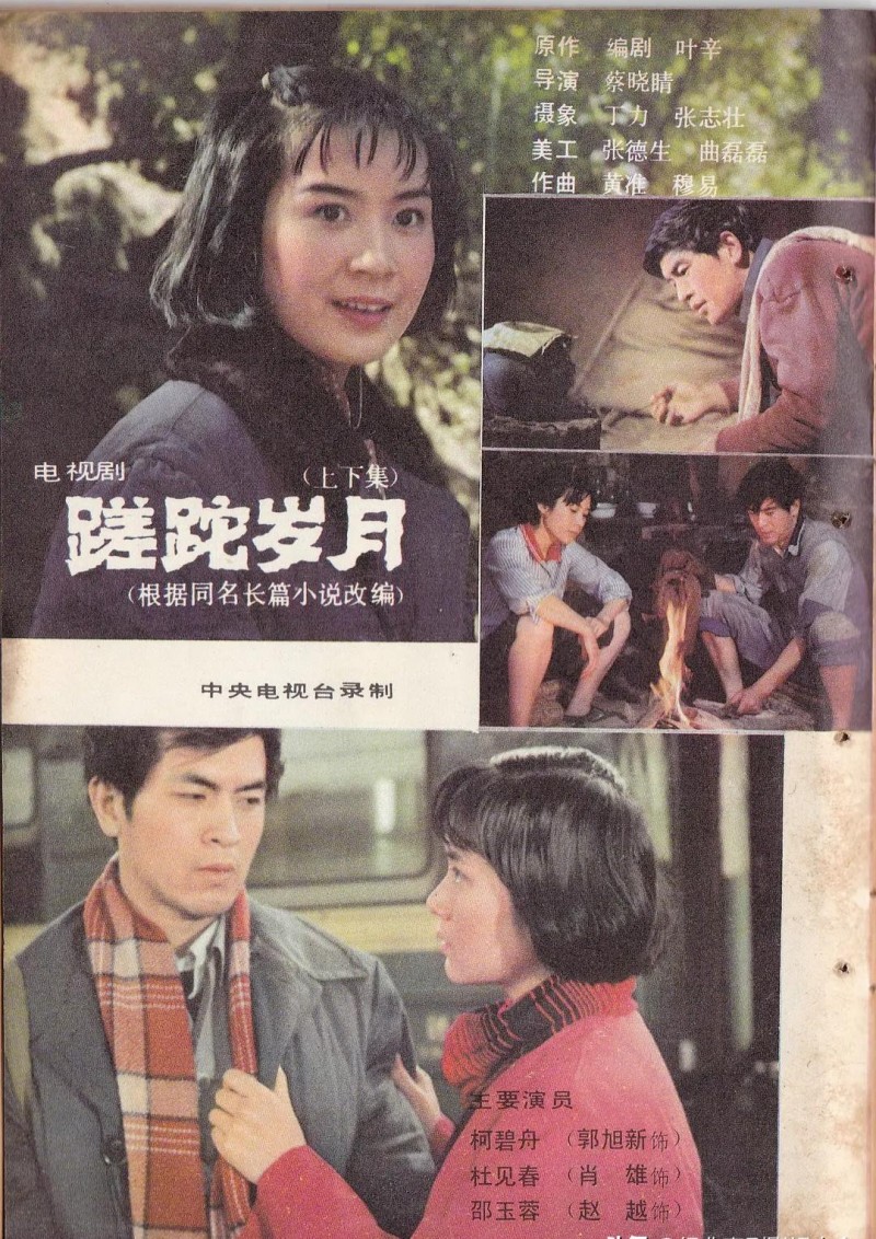 100部知青电视剧大全(盘点知青题材电视剧)