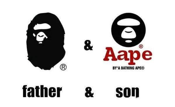 ape是什么意思(音乐APE是什么意思)