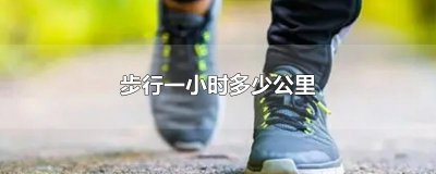 ​步行一小时多少公里