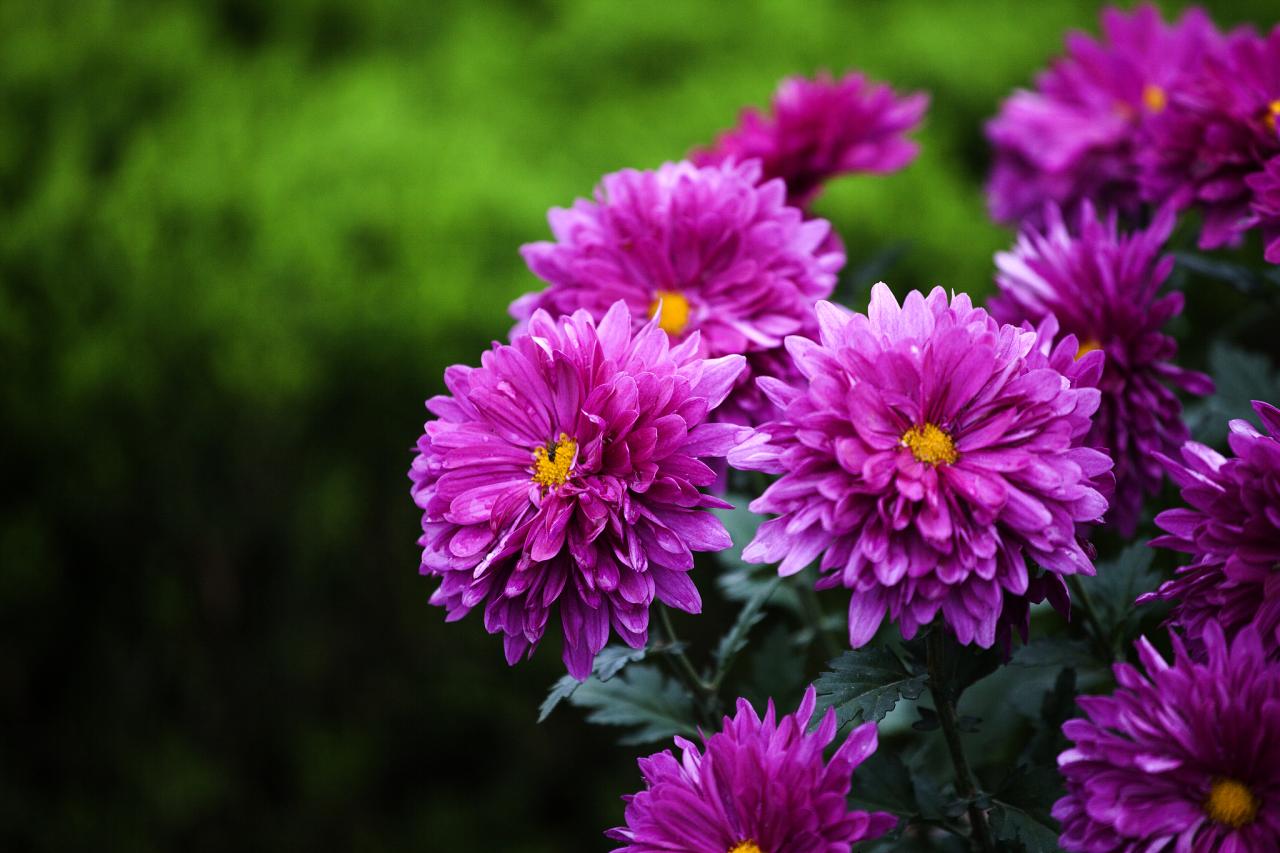 桃花源记被删除的一段桃花源其实被找到了