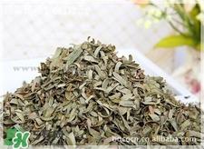 油柑叶枕头适合婴儿吗?油柑叶枕头功效 油柑叶枕头适合婴儿吗?油柑叶枕头功效