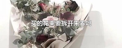 ​花束不拆开如何保鲜 花束是否需要拆出来