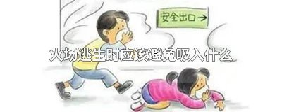 ​火场逃生时应该避免吸入什么氧气 火场逃生时应该避免吸入什么物质