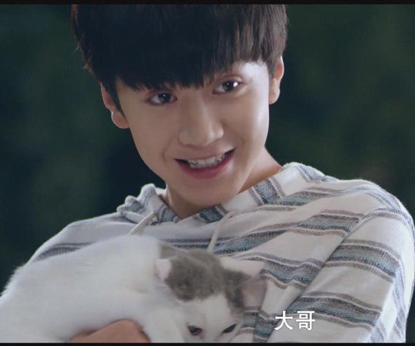 95后陈哲远个人资料 自己荧幕初吻是李兰迪