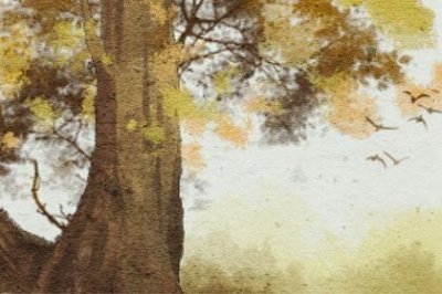 ​怎么追内向不爱说话的女生